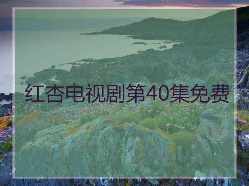 红杏电视剧第40集免费