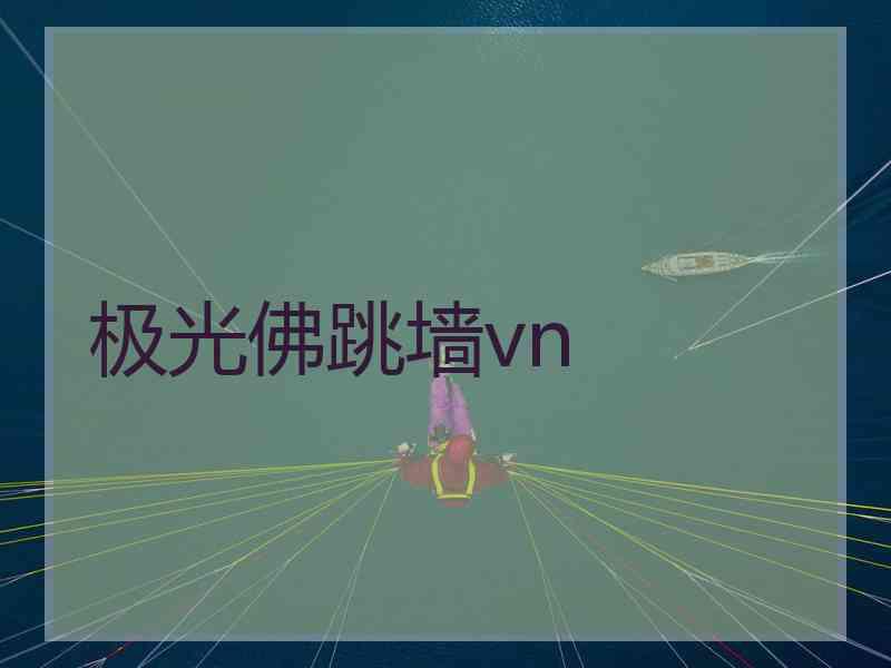 极光佛跳墙vn