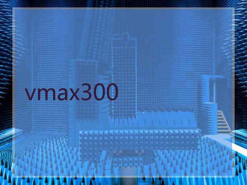 vmax300