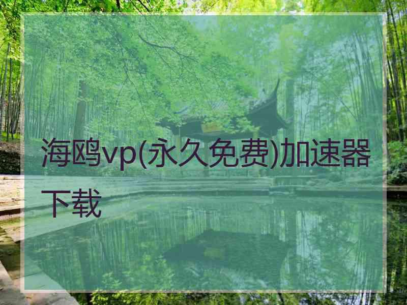 海鸥vp(永久免费)加速器下载