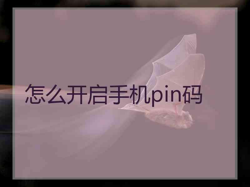 怎么开启手机pin码