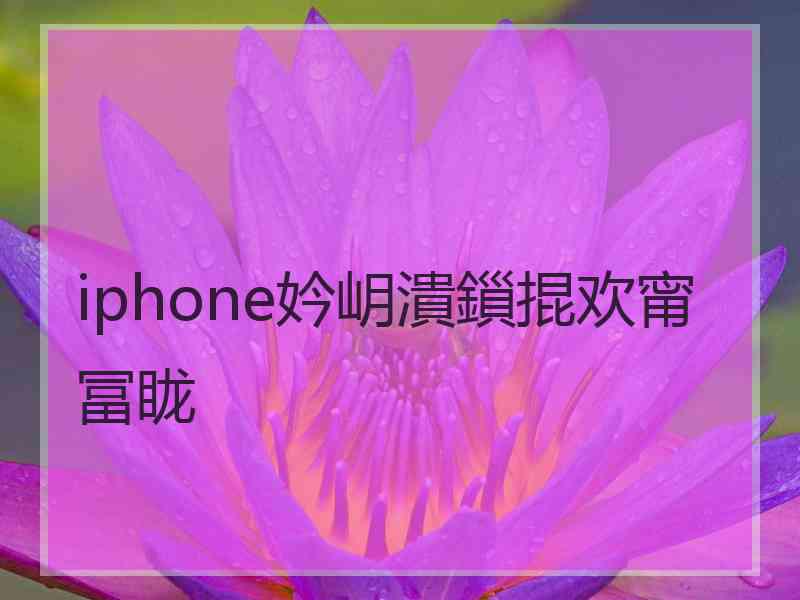 iphone妗岄潰鎻掍欢甯冨眬