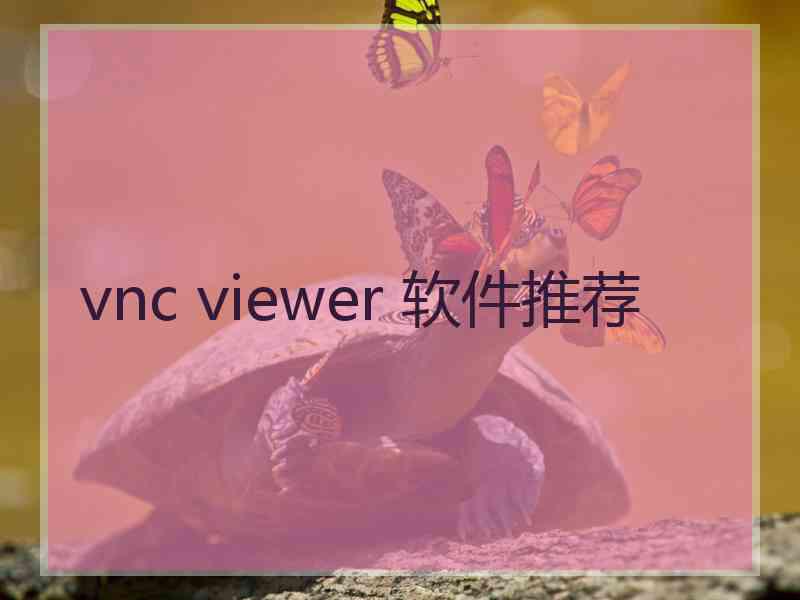 vnc viewer 软件推荐