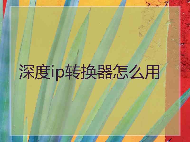 深度ip转换器怎么用