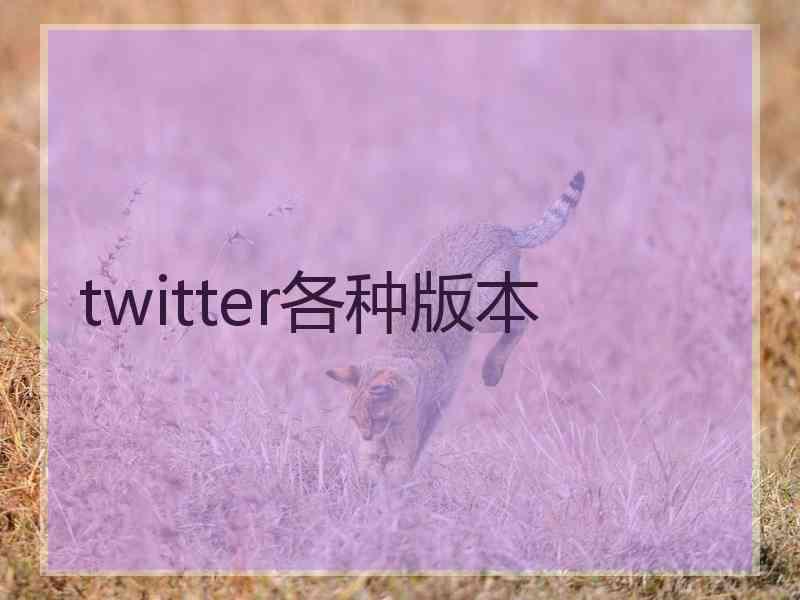 twitter各种版本