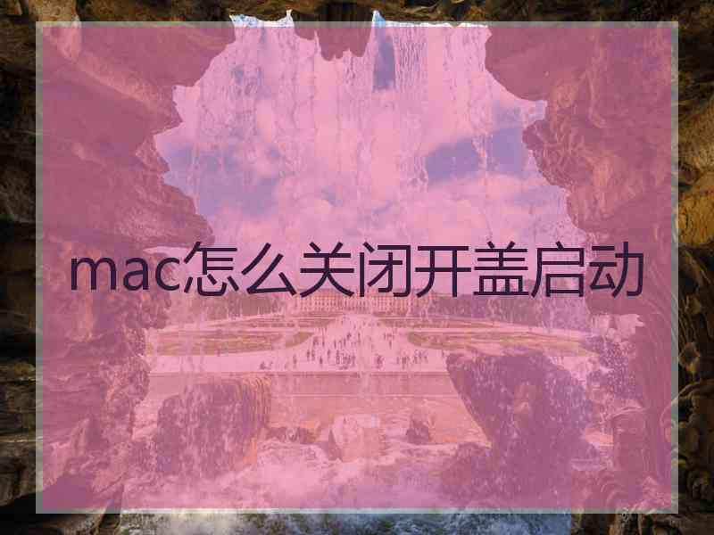 mac怎么关闭开盖启动