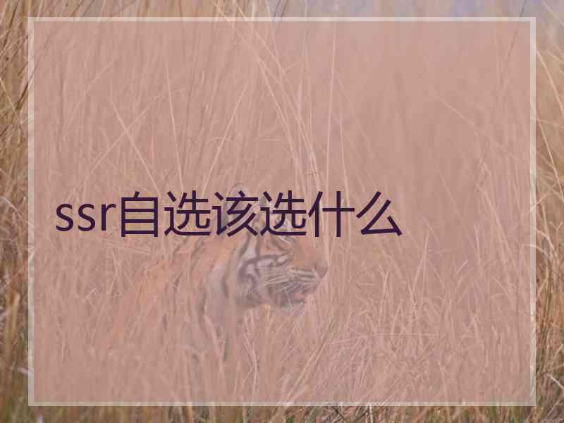 ssr自选该选什么