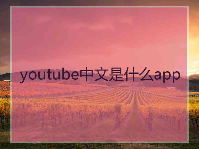 youtube中文是什么app