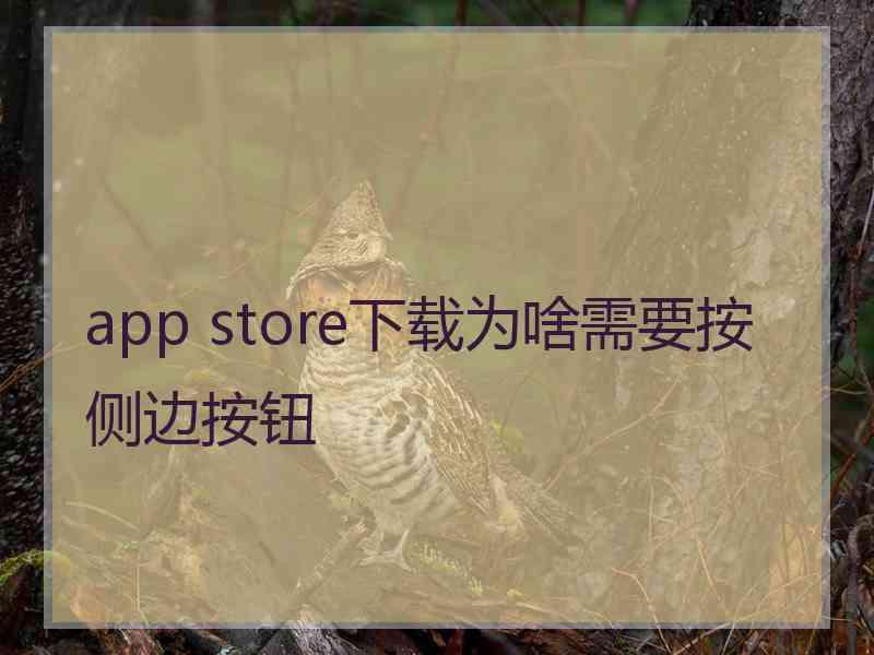 app store下载为啥需要按侧边按钮