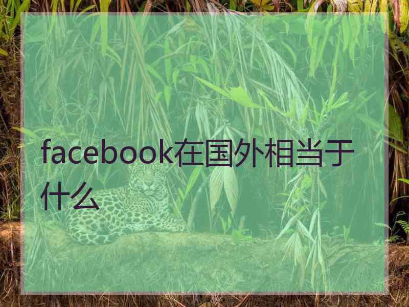 facebook在国外相当于什么