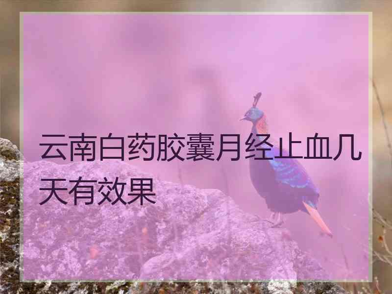 云南白药胶囊月经止血几天有效果