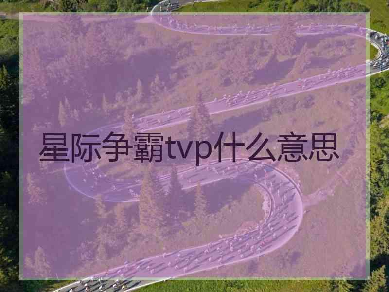 星际争霸tvp什么意思