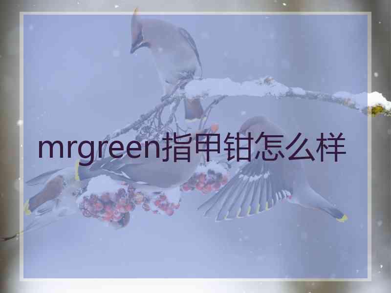 mrgreen指甲钳怎么样