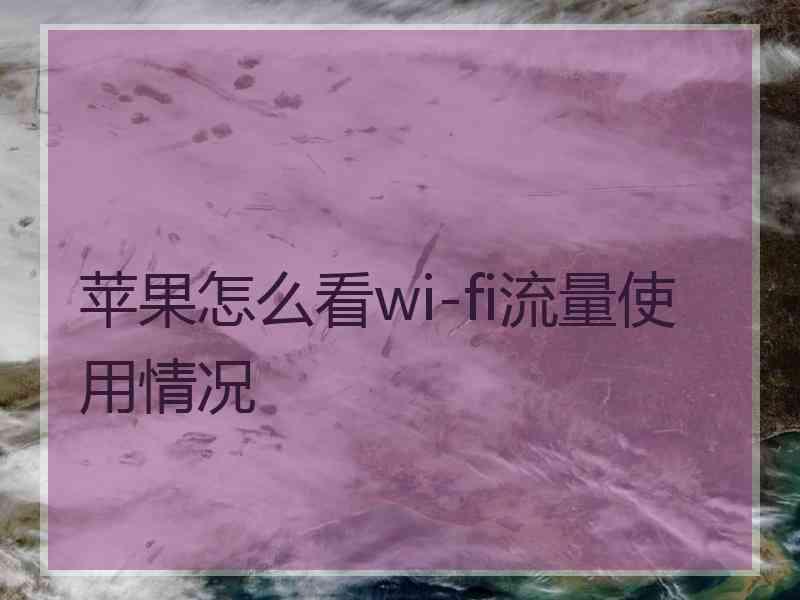 苹果怎么看wi-fi流量使用情况