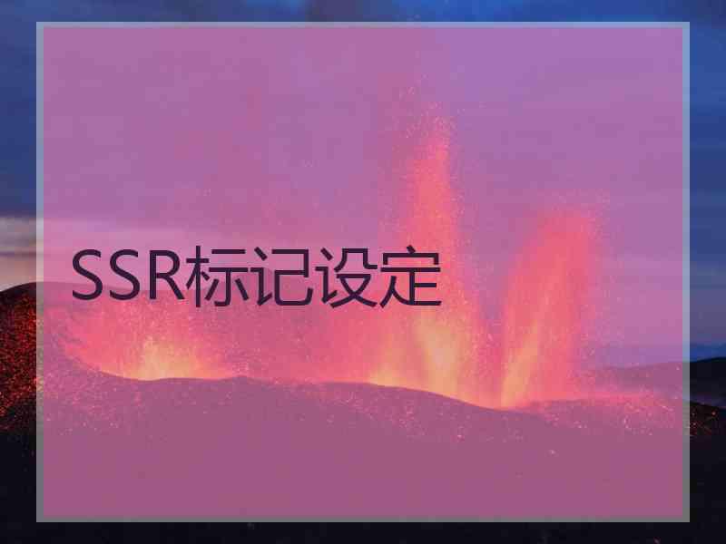 SSR标记设定