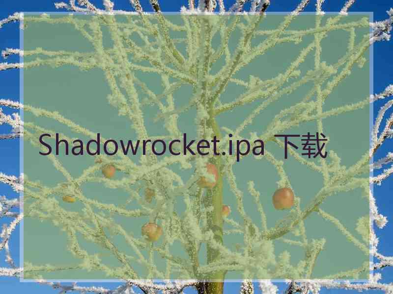 Shadowrocket.ipa 下载