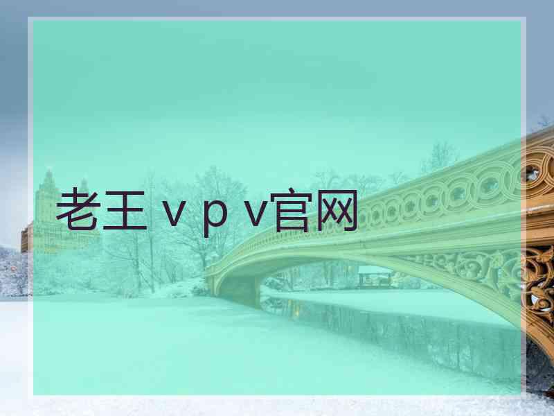 老王 v p v官网