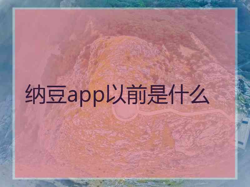 纳豆app以前是什么