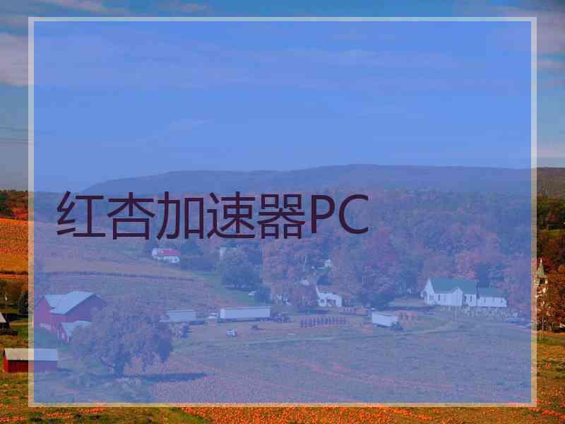 红杏加速器PC