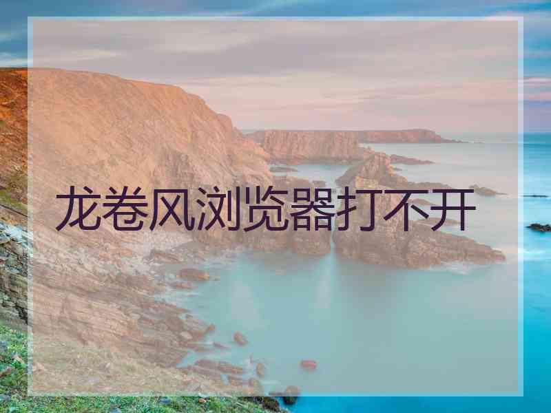 龙卷风浏览器打不开