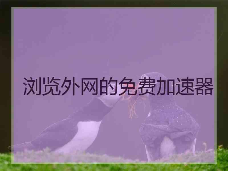 浏览外网的免费加速器