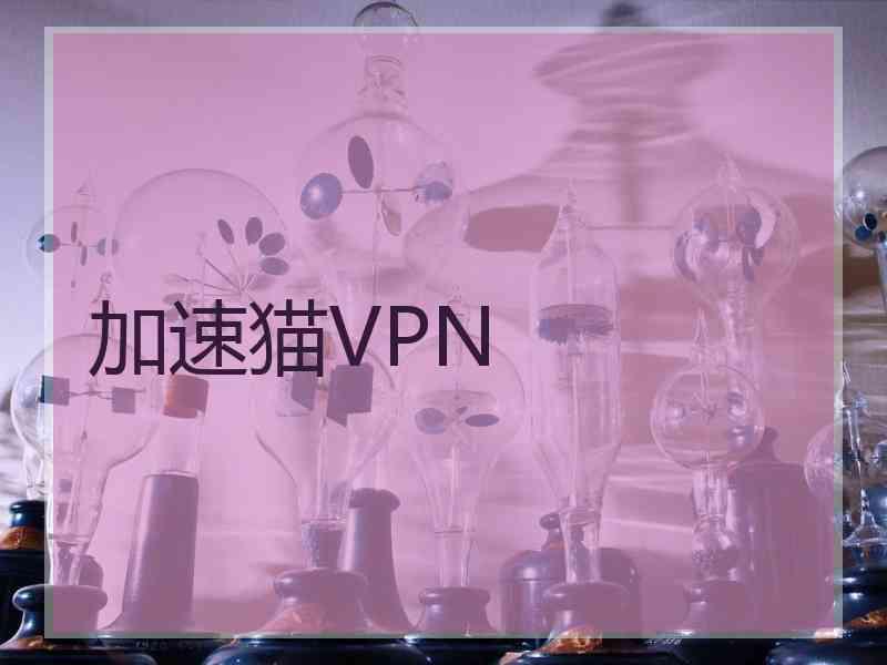 加速猫VPN