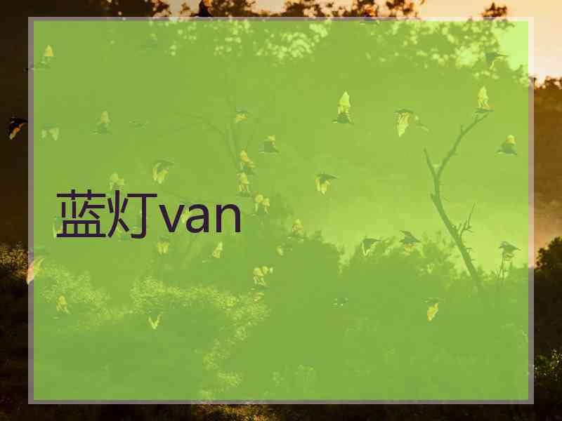 蓝灯van