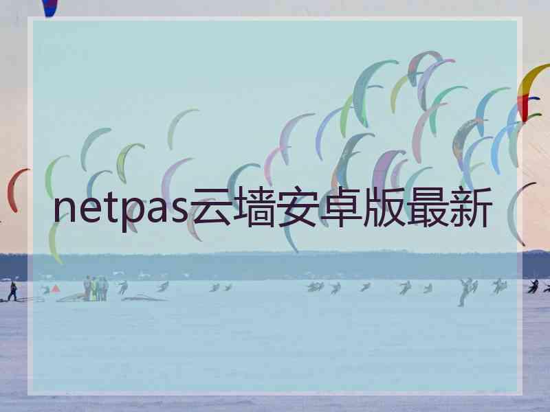 netpas云墙安卓版最新