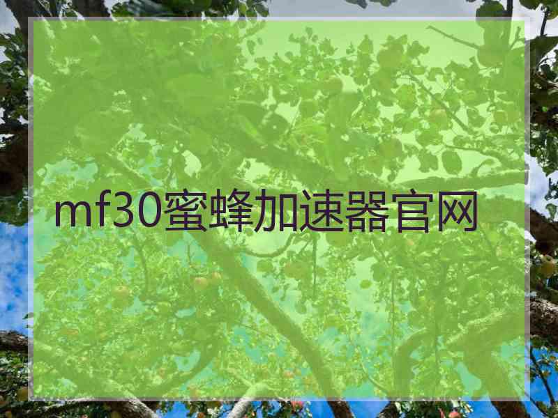 mf30蜜蜂加速器官网