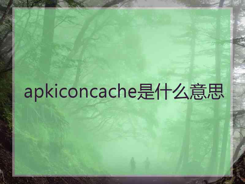 apkiconcache是什么意思