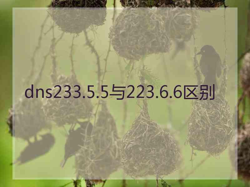 dns233.5.5与223.6.6区别