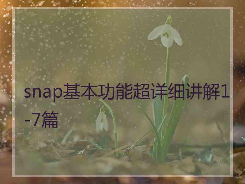 snap基本功能超详细讲解1-7篇