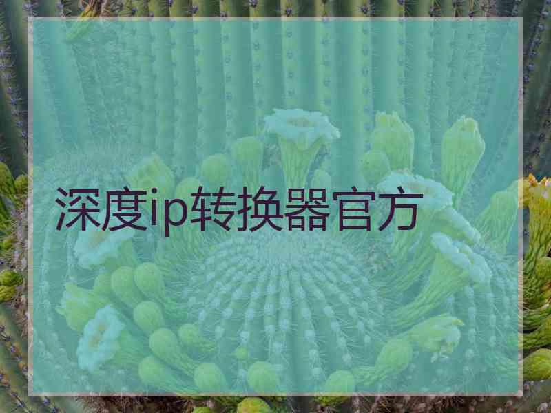 深度ip转换器官方