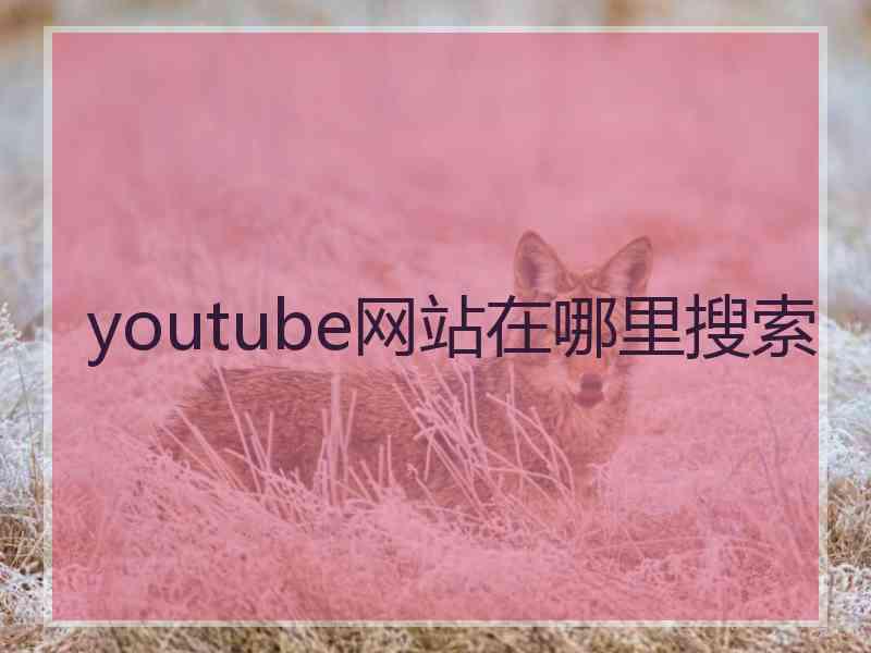 youtube网站在哪里搜索