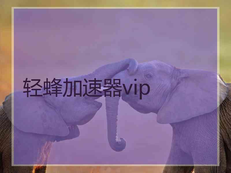 轻蜂加速器vip