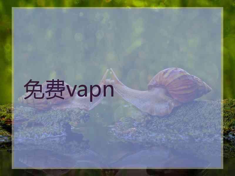 免费vapn