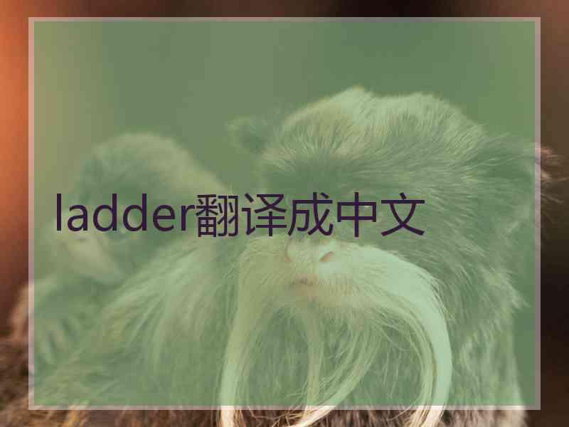 ladder翻译成中文