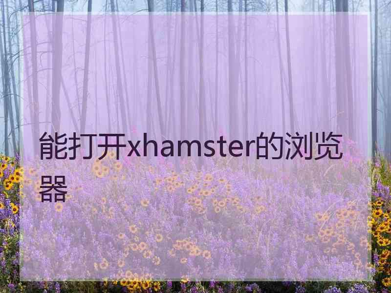 能打开xhamster的浏览器