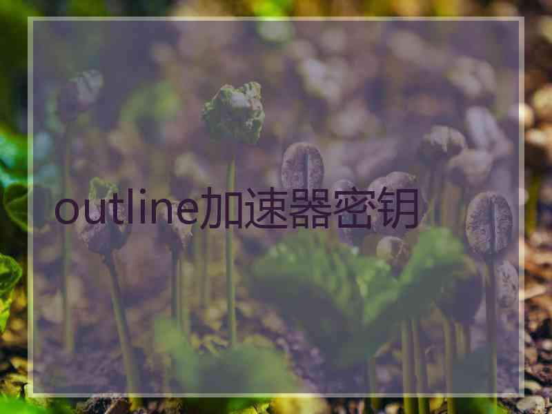 outline加速器密钥