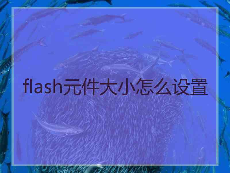 flash元件大小怎么设置