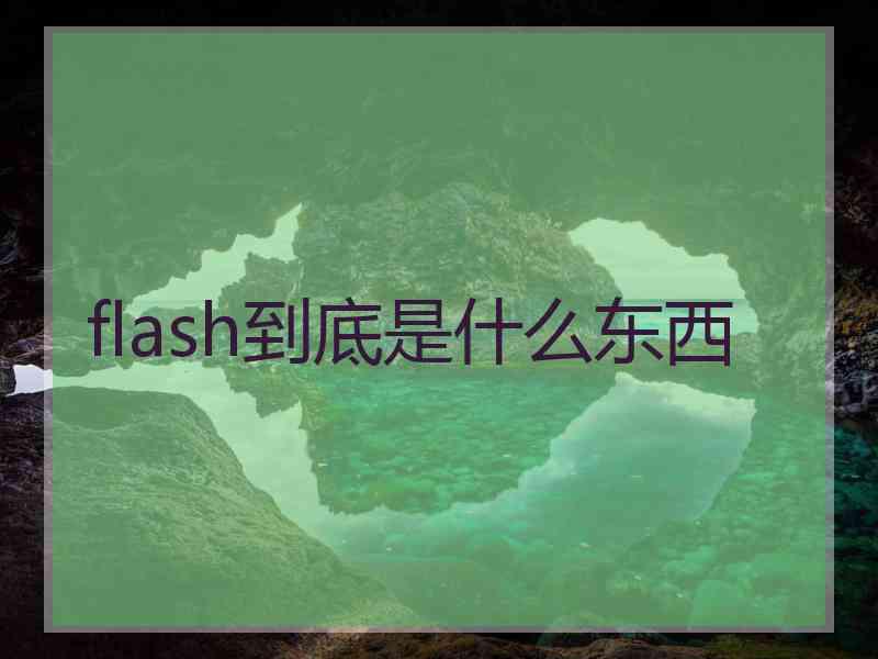 flash到底是什么东西