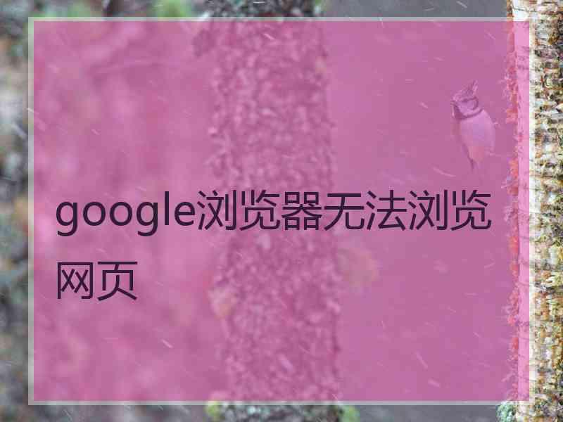 google浏览器无法浏览网页