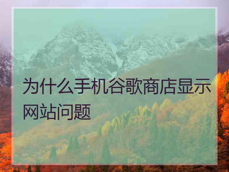 为什么手机谷歌商店显示网站问题