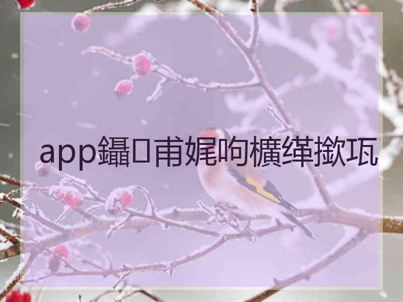 app鑷甫娓呴櫎缂撳瓨