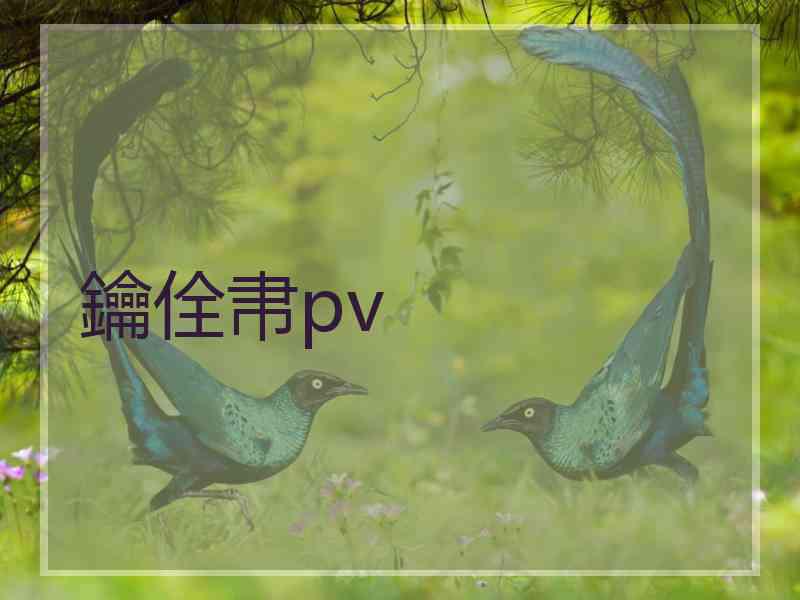 鑰佺帇pv