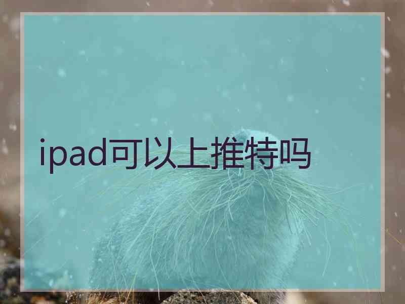 ipad可以上推特吗