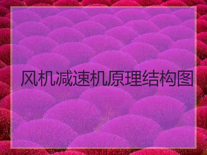 风机减速机原理结构图