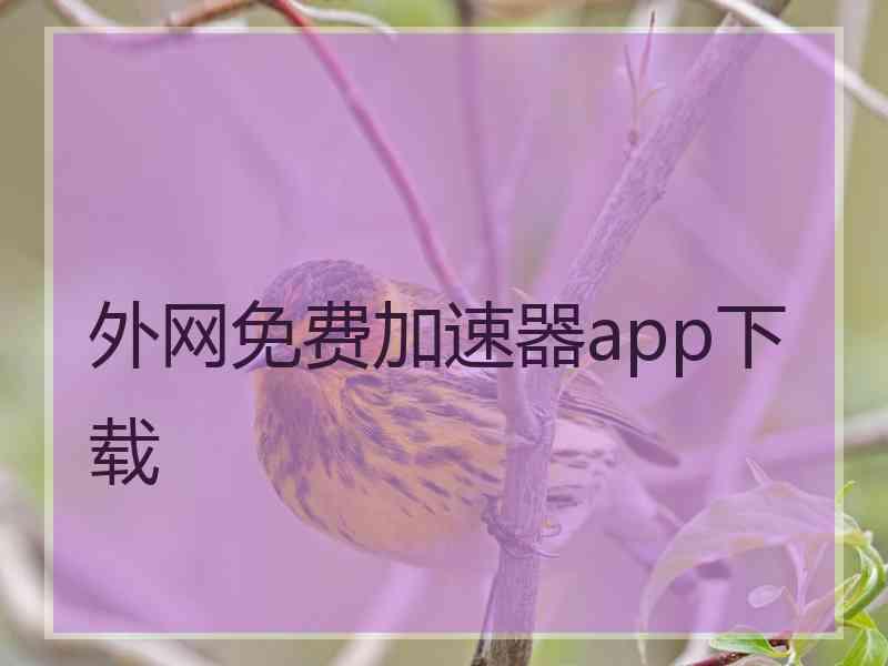 外网免费加速器app下载