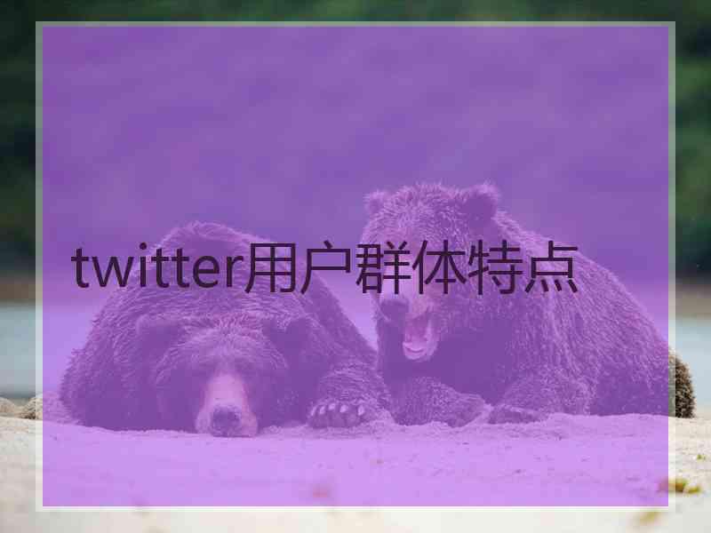 twitter用户群体特点