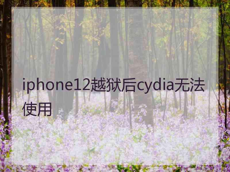 iphone12越狱后cydia无法使用